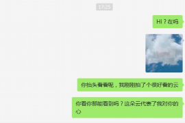 新昌如何避免债务纠纷？专业追讨公司教您应对之策